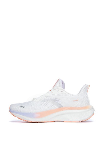    ANTA MACH V
