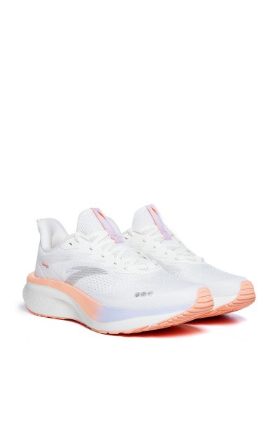    ANTA MACH V