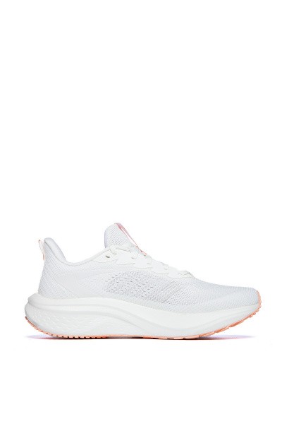    ANTA MACH V