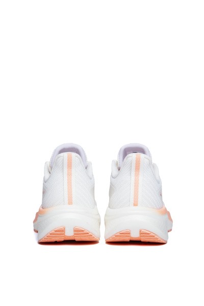    ANTA MACH V