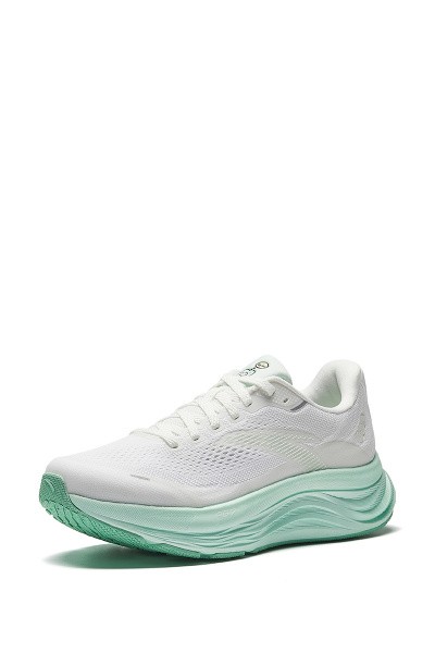    ANTA WALK 2.0