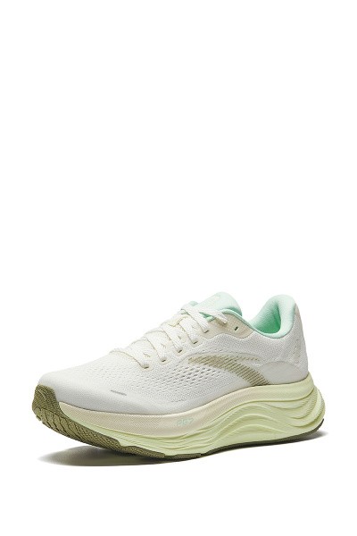    ANTA WALK 2.0