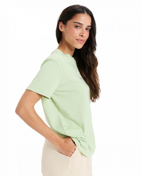 ������� �������� Oceanregular Corpo
