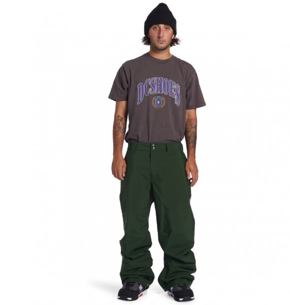 - dc snow chino pant (gzh0)