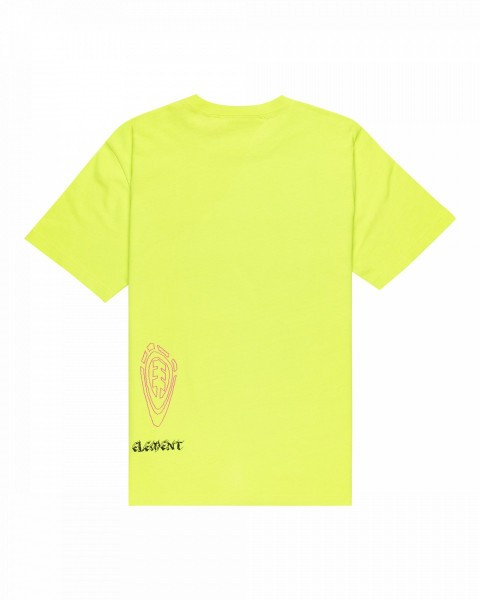 .//  /   FFNC Stone SS