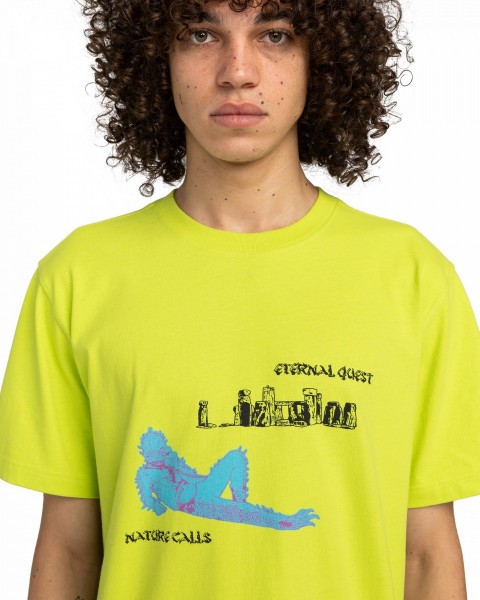 .//  /   FFNC Stone SS