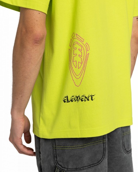 .//  /   FFNC Stone SS