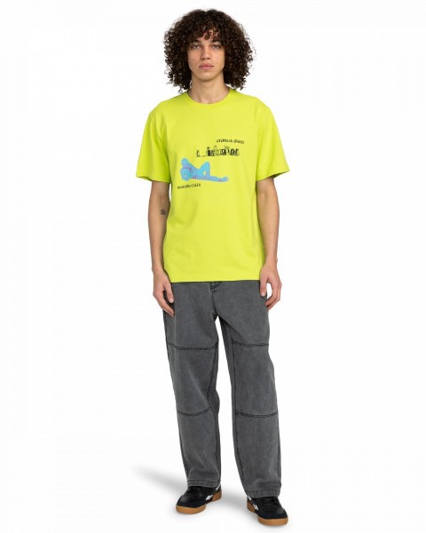 .//  /   FFNC Stone SS