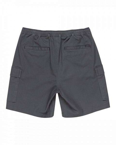 ������� �����-����� Taxer Cargo WS