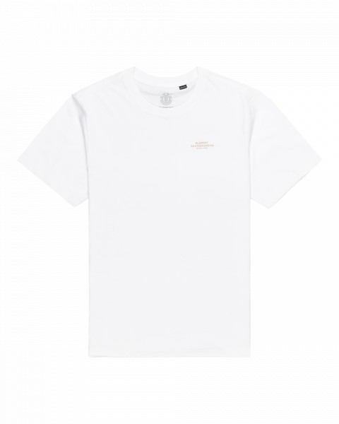 skateboard co ss