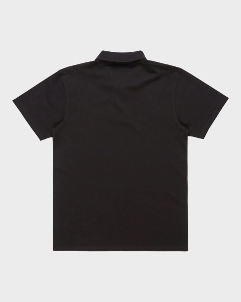 ���� DNA Polo