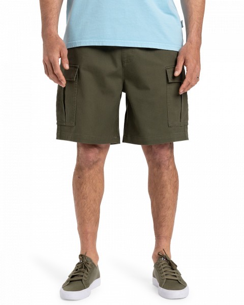 TAXER CARGO WS