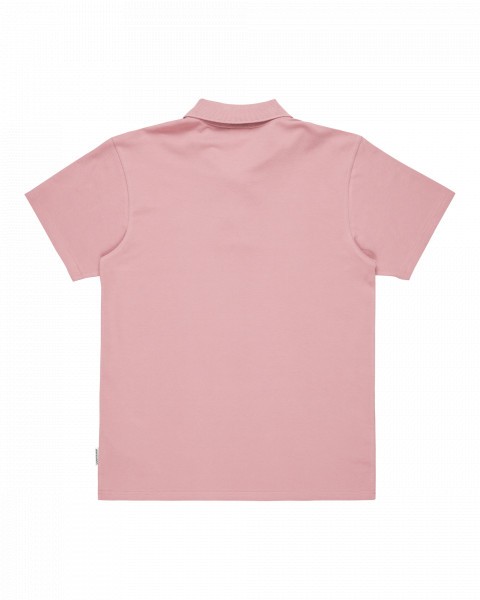  dna polo