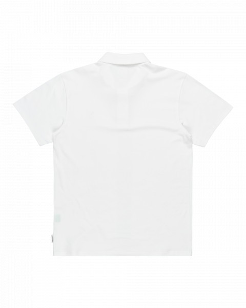 DNA POLO