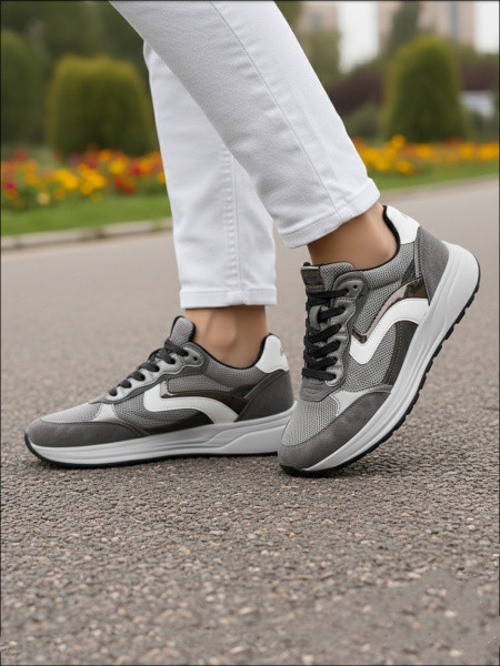 ������� ��������� ����������� ����