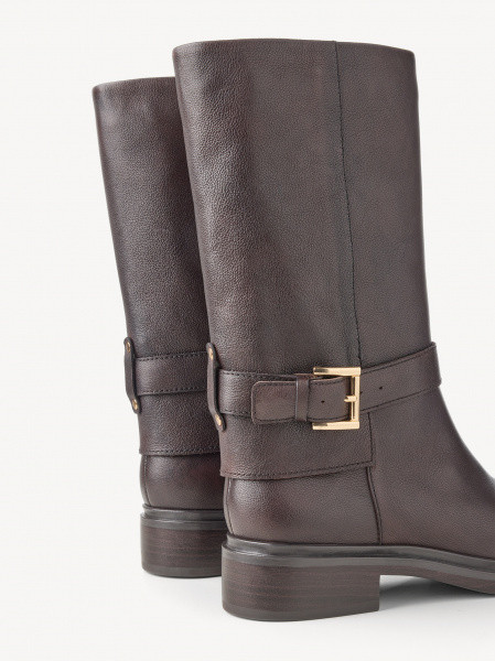 ������� ���������� ����������� ���� Premium