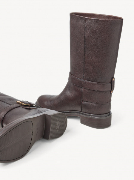 ������� ���������� ����������� ���� Premium