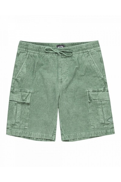 ����� EBYWS00129 �������