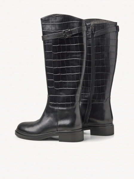 ������� ������ ����������� ���� Premium