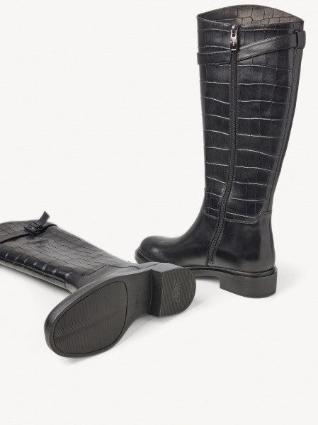 ������� ������ ����������� ���� Premium