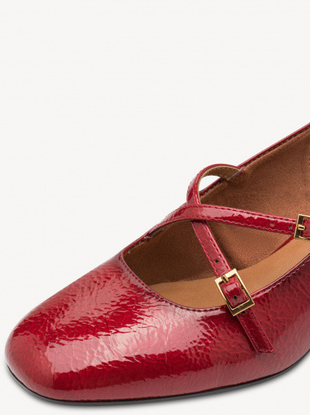 ������� ��������� ������������� ����