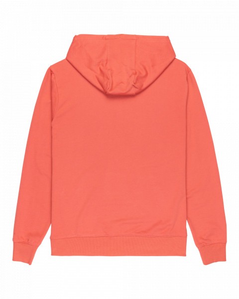 BASIC HOODIE YOUNG MEN