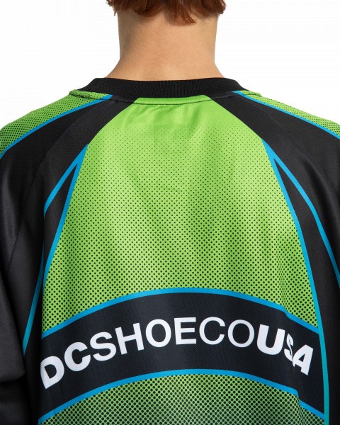 �������� Sylem