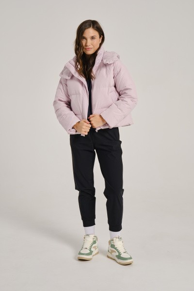 ������� ��������