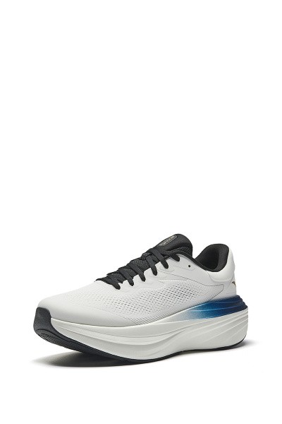    WALK 2.0 STABLE (2E)