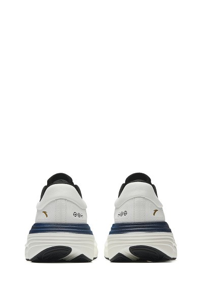    WALK 2.0 STABLE (2E)