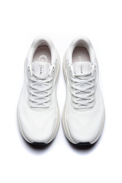    WALK 2.0 STABLE (2E)