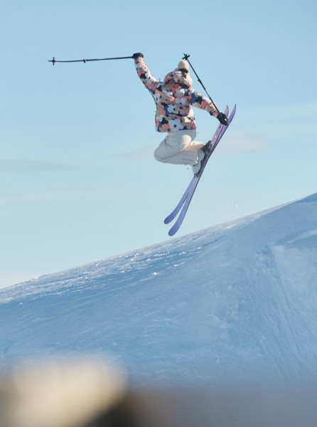 ������� ��������������� ������ ALOFTEDPUFFY