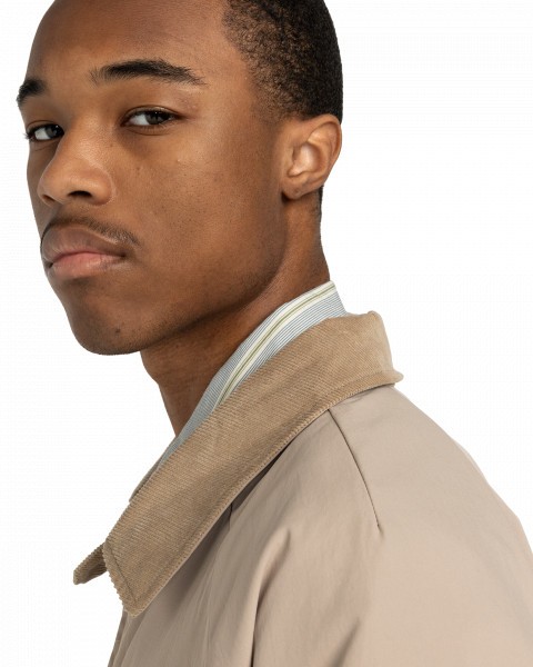 ������-������� Stew