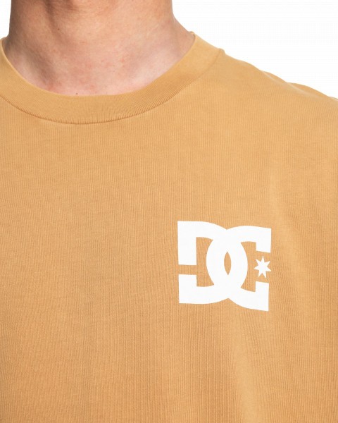 �������� Line Up