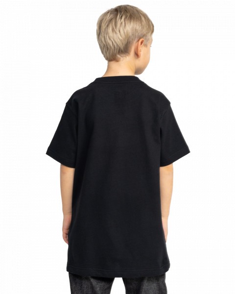 ������� �������� Tracer Star