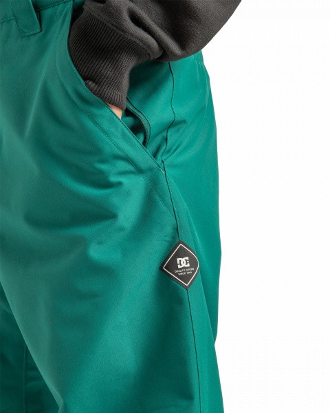 ��������������� �����  DC SNOW CHINO PANT