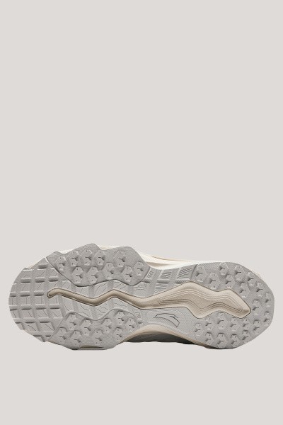 ��������� ������������ ���������� RIDGES 2.0
