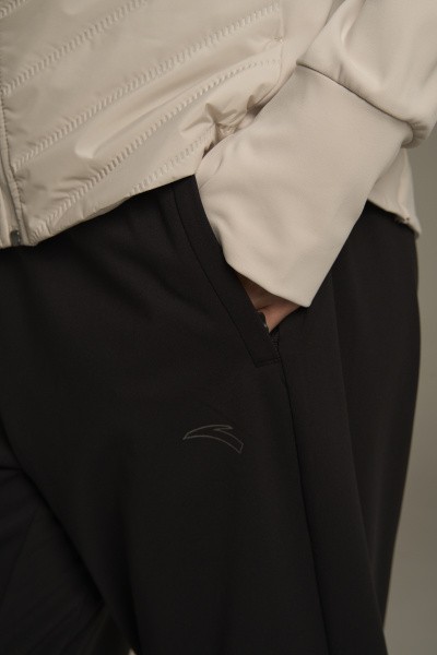 ����� ����������� ���������� ANTA