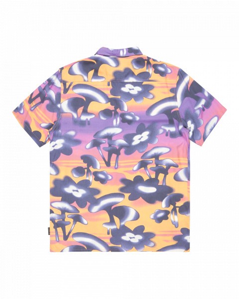 ������� SAFE PARADISE SS