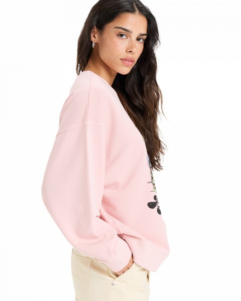 ������� LINEUP TERRY