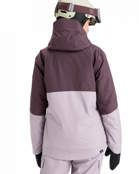 Сноубордическая куртка GORE-TEX STORMDAY JK