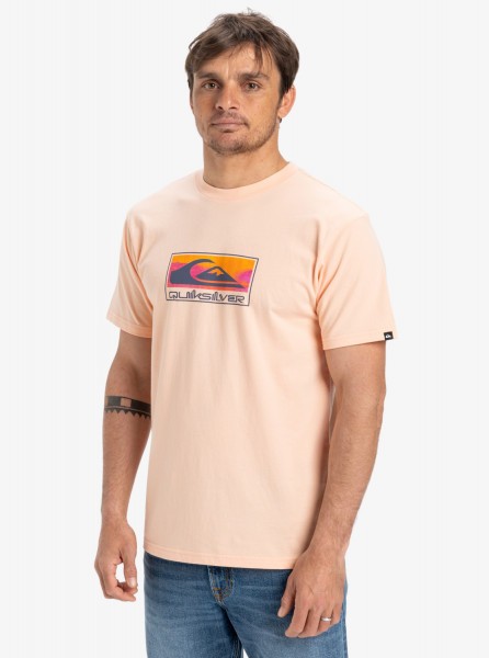 �������� QUIKSILVER EV GRADIENT BOX SS MEF0