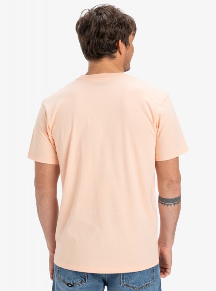 �������� QUIKSILVER EV GRADIENT BOX SS MEF0