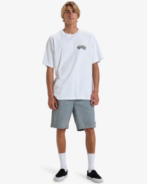 �������� BILLABONG LORD ARCH OG SS WHT