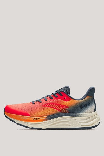 ��������� ��� ���� ANTA WALK 2.0
