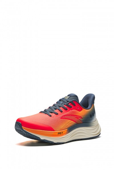 ��������� ��� ���� ANTA WALK 2.0