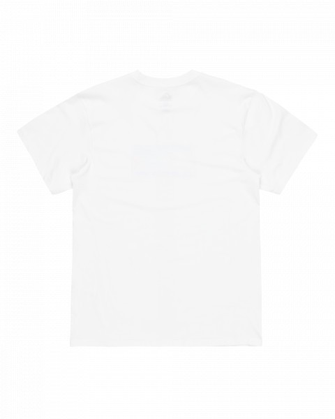 �������� EV GRADIENT BOX SS