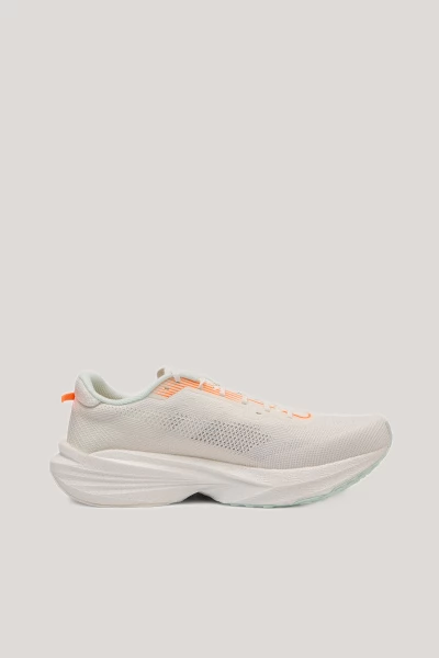 ��������� ��� ���� ANTA Pioneer