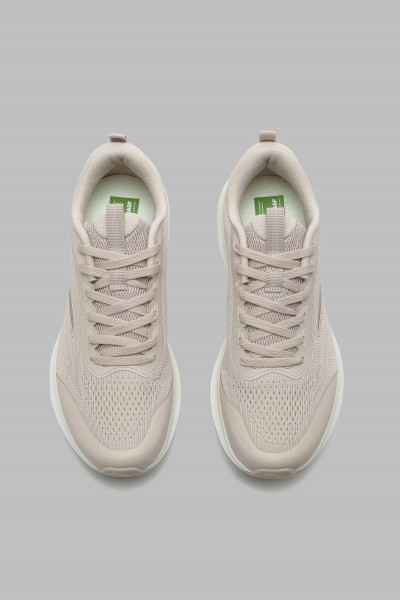 ��������� ��� ���� ANTA BASIC