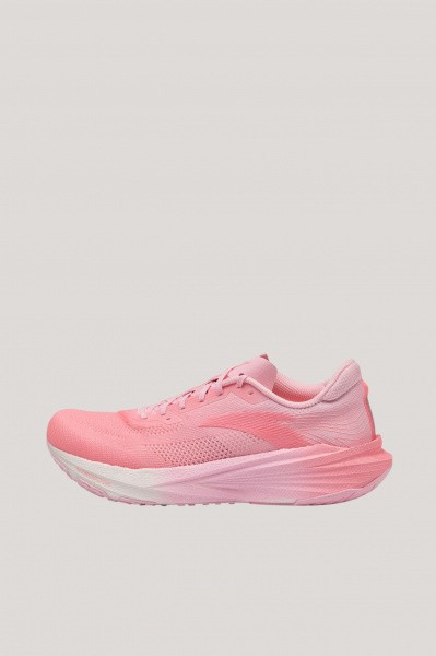 ��������� ��� ���� ANTA Pioneer